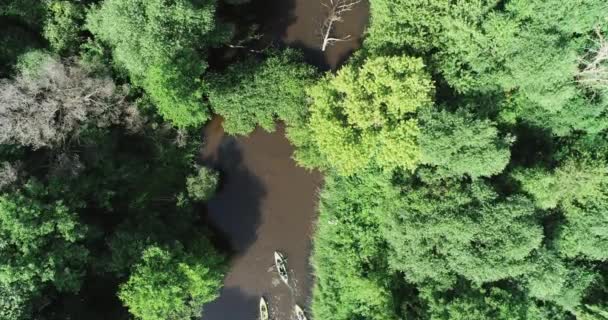 在乡村 一群游客从高处乘皮划艇游览 探险者漂浮在森林地区的河流上 绿色的星球生态 — 图库视频影像