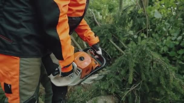 Handheld Female Logger Forest Young Woman Specialist Protective Gear Cuts — Stock Video