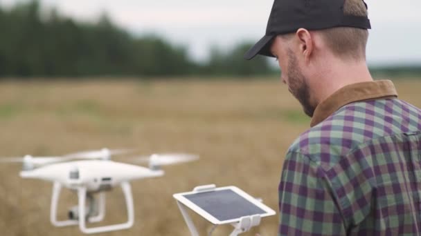 Campo Agricultor Controlar Quadricóptero Enquanto Campo Centeio Ecologista Analisa Crescimento — Vídeo de Stock