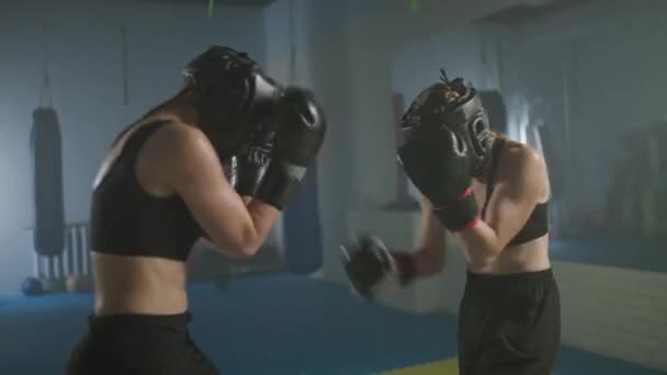 체육관에서 전투에서 시리즈를 착용하는 전투기의 스파링 — 비디오