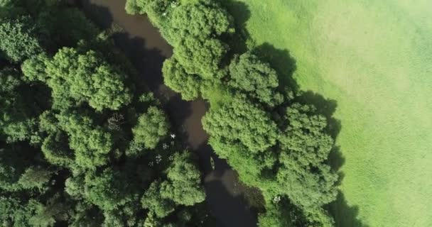 Planeta Verde Vista Kayak Desde Una Altura Exploradores Flotando Río — Vídeo de stock