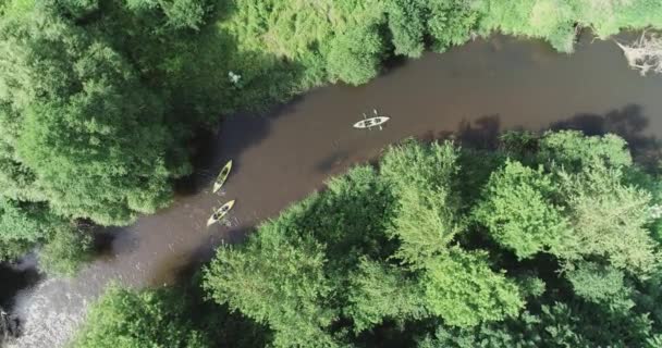 成群结队的游客从高处乘皮划艇游览 探险者在森林地区的河流上漂浮 绿色的星球生态 — 图库视频影像