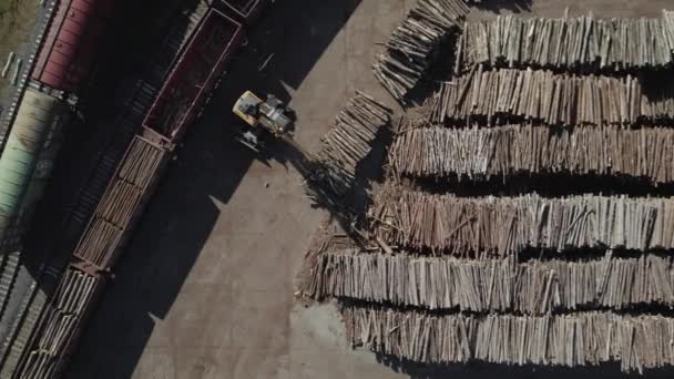 Fabryka Obróbki Drewna Widok Wysokości Dużej Liczby Kłód Zebranych Przetworzenia — Wideo stockowe