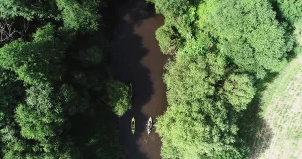 Landsbygd Grupp Turister Kajakutsikt Från Höjd Upptäcktsresande Flyter Flod Ett — Stockvideo