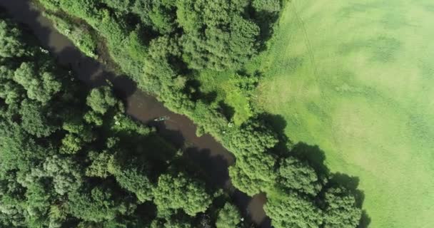 Grön Planet Kajakutsikt Från Höjd Upptäcktsresande Flyter Flod Ett Skogsområde — Stockvideo