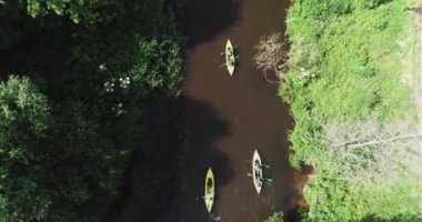 Nehirde rafting yapmak, yüksek bir yerden kayak yapmak, ormanda bir nehirde yüzen kaşiflerden oluşan bir ekip, ekoloji..