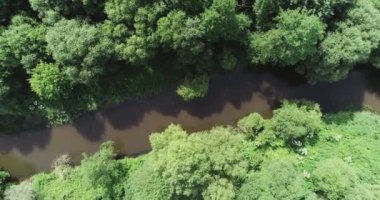 Kırsal kesimde, bir grup turist yüksek bir yerden kano manzarası seyrediyor, kaşifler bir orman bölgesinde yüzüyor, yeşil gezegen ekolojisi.