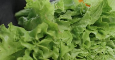 Şef salata yapraklarını yavaş çekimde bıçakla kesiyor salata yapıyor, taze sebzeler kesiyor..