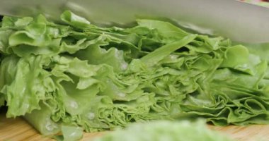 Şef salata yapraklarını yavaş çekimde bıçakla kesiyor salata yapıyor, taze sebzeler kesiyor..