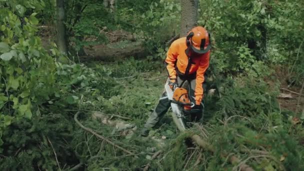 Портативный Лесоруб Лесу Специалист Защитным Приспособлениям Режет Ветки Деревьев Бензопилой — стоковое видео