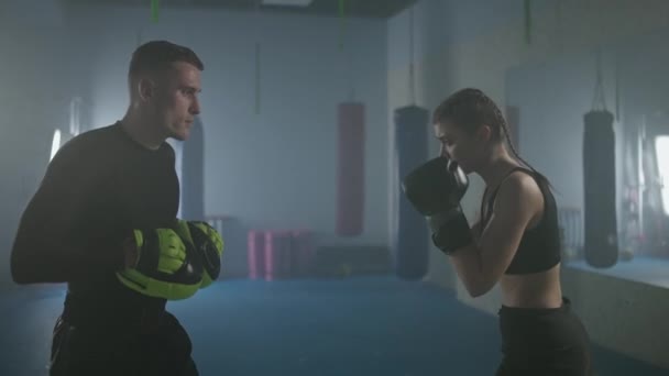 Woman Fighter Trains His Fast Punches Punching Focus Mitts Training — Stock Video