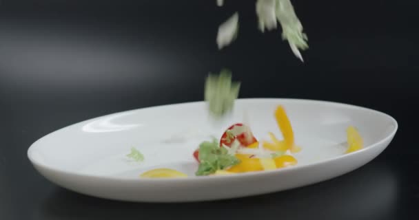 Fresh Chopped Vegetables Fall Plate Vegetables Black Background Slow Motion — Stock Video