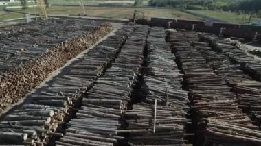 Belarus, Ivatsevichi - 24 Eylül 2022: Muazzam ahşap işleme fabrikası, işleme için toplanan kütüklerin yüksekliğinden bir kazıcı, bir yük trenine ahşap bavul yükler.