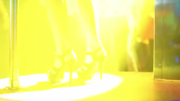 Uitgaansleven Plezier Hebben Dansen Een Avondfeest Een Club Veelkleurig Licht — Stockvideo