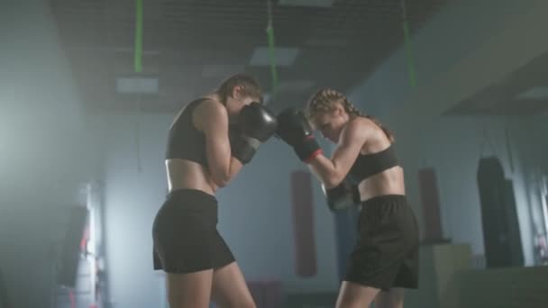 Artes Marciais Disputando Entre Duas Mulheres Lutadoras Treinando Ginásio Boxe — Vídeo de Stock