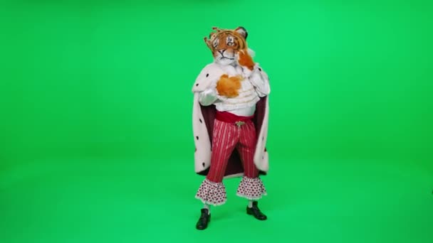素晴らしいキャラクター 虎は優雅に動き 緑の背景 虎の年シンボル クロマキーテンプレートでトリックを実行します — ストック動画