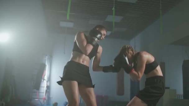 两名女战士在拳击场上争斗 在拳击馆里训练 女兵训练防守 以及一系列关于战斗 女权的拳 — 图库视频影像