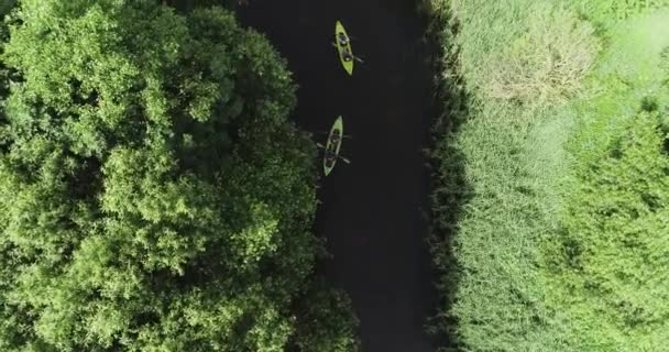 Planeta Verde Grupo Turistas Vista Kayak Desde Una Altura Exploradores — Vídeos de Stock