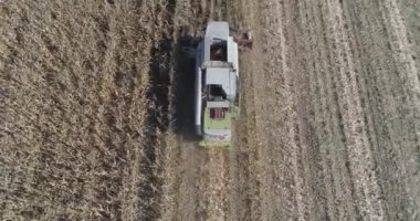 Kırsal ve tarım, tarlanın üzerinden uçmak, yükseklikten manzara biçerdöveri birleştirmek yulafları yok eder.