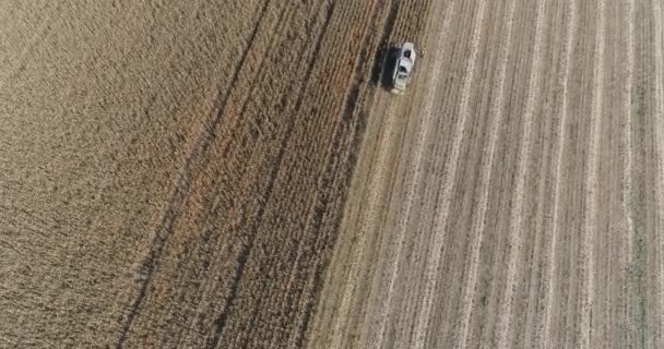 Krajina Zemědělství Let Přes Pole Pohled Výšky Kombinovat Kombajn Odstraňuje — Stock video