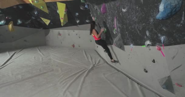 登山の壁に登る女性の登山訓練 ロッククライミング 登山訓練を実践する若い女性 — ストック動画