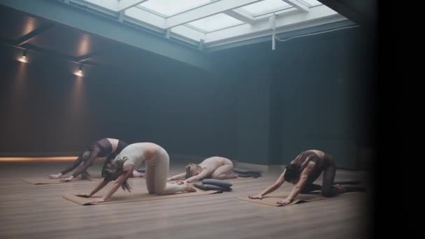 Grupp Kvinnor Som Gör Yoga Ett Mörkt Rum Flexibla Kvinnor — Stockvideo