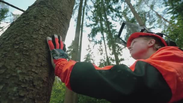 站在松树旁的年轻女伐木工人 身着防护服的专业女伐木工人 研究毁林问题 抬起头来看 学生们在工作 — 图库视频影像