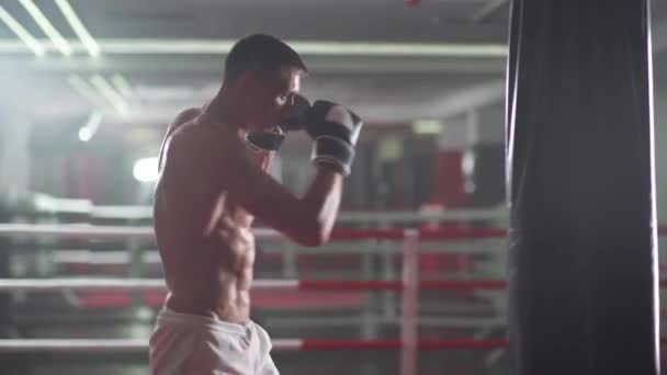 Hombre Combate Entrena Sus Golpes Golpea Saco Boxeo Día Entrenamiento — Vídeo de stock