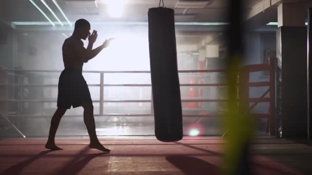Kickbox Atletický Muž Zápasník Trénuje Údery Porazí Boxovací Pytel Tréninkový — Stock video
