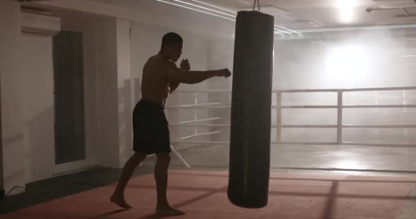 Kickboxing Athletic Man Fighter Trains Kicks Contour Light Training Day — Stock Video