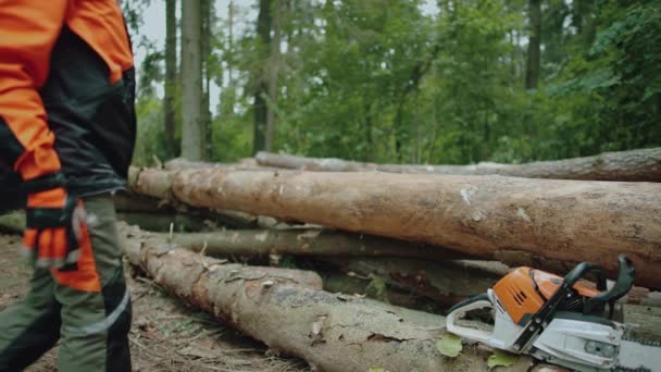 Trabalho Duro Retrato Uma Madeireira Sentada Floresta Jovem Especialista Equipamentos — Vídeo de Stock