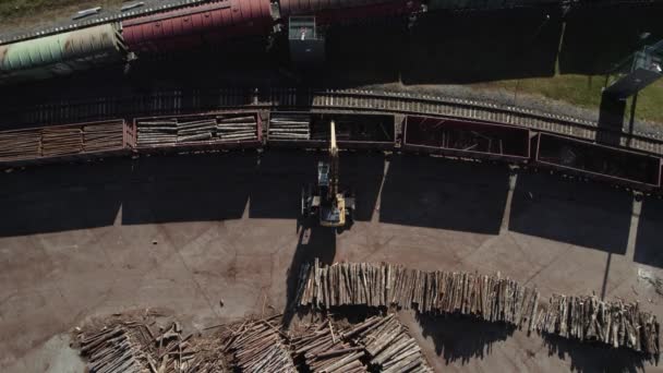 木材厂 从大量采伐的原木高度观察加工 一台挖掘机从运货列车上卸下木箱 — 图库视频影像
