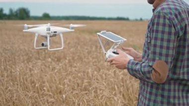 Tarım, çiftçi adam çavdar tarlasında dikilirken kuadkopteri kontrol eder, ekolojist çavdarın büyümesini ve olgunlaşmasını analiz eder..
