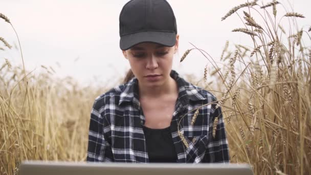 在农村 女农场主坐在田里 在笔记本电脑前工作 在远程工作 在自然中自我隔离 一边坐在黑麦地里一边发短信一边上网 — 图库视频影像