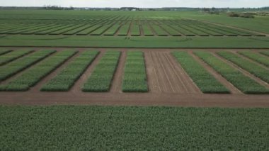 Çiftlikler, yükseklikten manzara, kırsal alanlarda yeşil deneysel alanlar, geometrik alanlarda yollar, tarım....