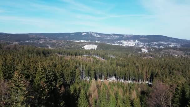 高山上的滑雪胜地 鸟瞰野生动物 美丽的针叶林和小山 从高处俯瞰风景 — 图库视频影像
