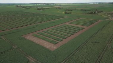 Doğal manzara, kırsal alanlardaki yeşil alanların yüksekliğinden manzara, deneysel tarlalar, geometrik alanlardaki yollar, modern tarım....