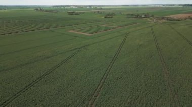 Deneysel tarlalar, kırsaldaki yeşil alanların yüksekliğinden manzara, geometrik alanlara uzanan yollar, modern tarım....