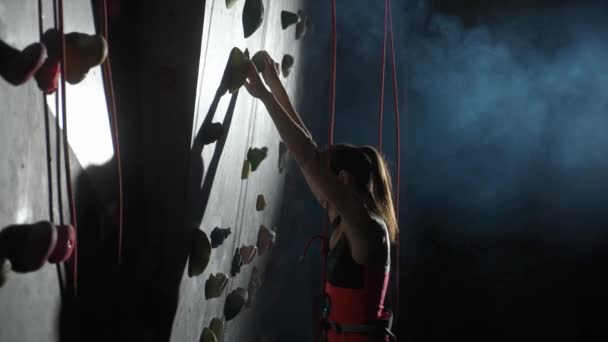 登山の壁で若い女性のクライマーのトレーニング ロッククライミングや登山 持久力トレーニング — ストック動画