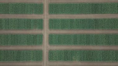 Doğal manzara, kırsal alanlardaki yeşil alanların yüksekliğinden manzara, deneysel tarlalar, geometrik alanlardaki yollar, modern tarım....