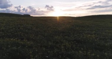 Doğal manzaralar, kırsaldaki yeşil tarlaların manzarası, akşam vakti gün batımı..