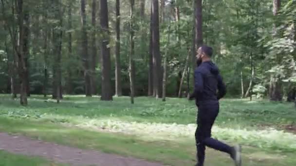 Homem Correndo Pela Floresta Verão Câmera Seguinte Corredor Fones Ouvido — Vídeo de Stock