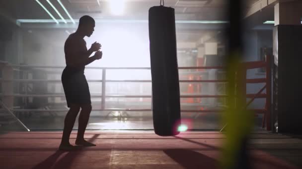 Kickboxing Boxeador Atlético Entrena Sus Golpes Golpea Saco Boxeo Día — Vídeos de Stock