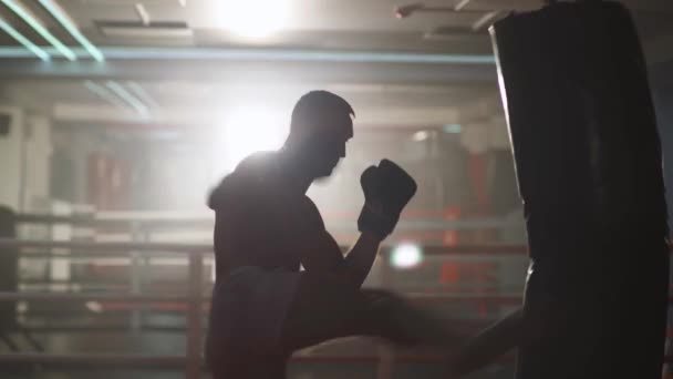 ボクシング 陸上競技の男の戦闘機は彼のパンチを訓練し パンチバッグを打ち負かし ボクシングジムでトレーニング日 足で打つ バックライト — ストック動画