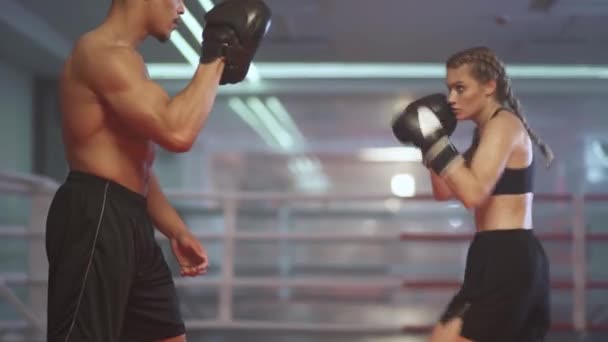 Sesión Cinematográfica Boxeo Ring Mujeres Luchadoras Entrenan Golpes Puñetazos Enfoque — Vídeos de Stock