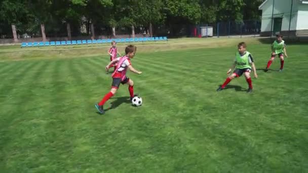 Grupo Meninos Jovens Jogar Futebol Dia Treinamento Campo Futebol Adolescentes — Vídeo de Stock