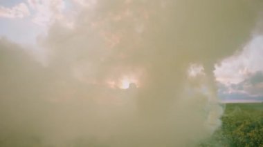 Mutluluk, doğadaki genç bir çift, erkek ve bir kadın el ele tutuşarak tarlada koşuyorlar, sarı duman bombalarını ellerinde tutuyorlar, dumanın içinde, 4k yavaş çekim.