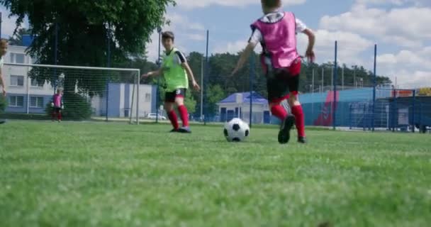 Equipo Joven Juega Fútbol Día Entrenamiento Campo Fútbol Los Niños — Vídeo de stock