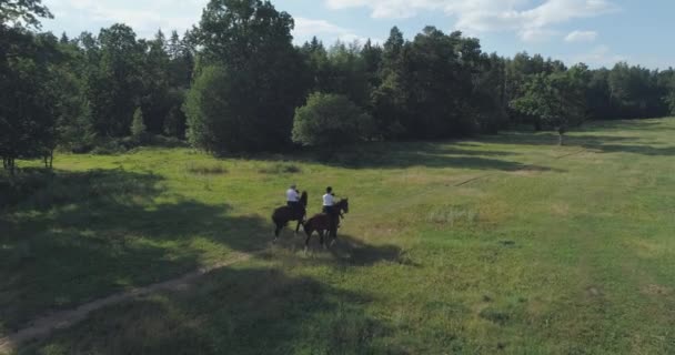 Rodinná Venkovní Rekreace Muž Kovboj Žena Jezdící Koních Rodiče Jezdí — Stock video