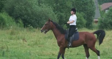 Ormanın yakınındaki bir açıklıkta ata binen bir kadın, orman yolunda yürüyen bir at, ata binen bir at, 4K ağır çekim.